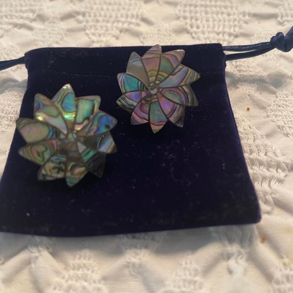 Abalone and Alpaca silver screwback vintage earrings